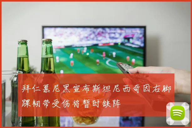 拜仁慕尼黑宣布斯坦尼西奇因右脚踝韧带受伤将暂时缺阵